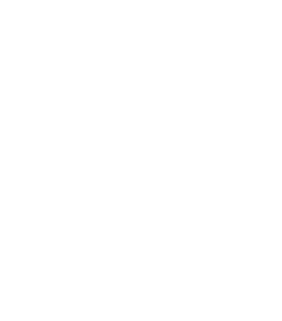 Logo LB Correction-blanc